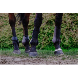 Ghette Riding World Marrone