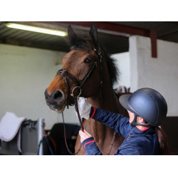 Guanti per la pulizia Belvoir® Carr & Day & Martin Tack Cleaner Bianco