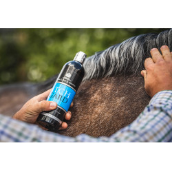 Lozione delicata Carr & Day & Martin Itchgard