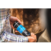 Lozione delicata Carr & Day & Martin Itchgard