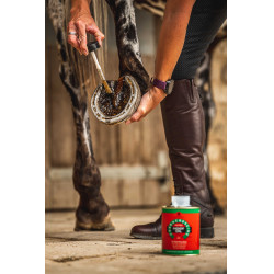 Olio per zoccoli Carr & Day & Martin Tea Tree Olio per zoccoli Carr & Day & Martin Tea Tree