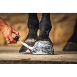 Olio per zoccoli Carr & Day & Martin Daily Hoof Moisturiser Cornucrescine