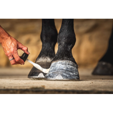 Olio per zoccoli Carr & Day & Martin Daily Hoof Moisturiser Cornucrescine