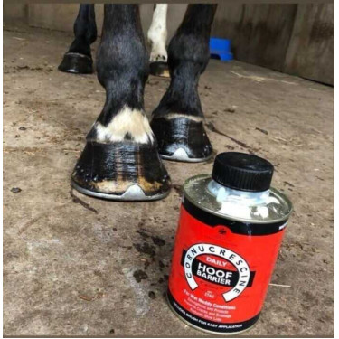Olio per zoccoli Carr & Day & Martin Daily Hoof Barrier Cornucrescine