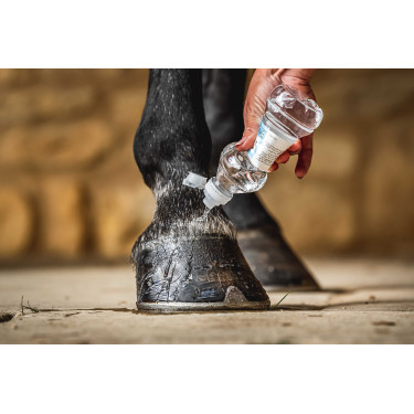 Olio per zoccoli Carr & Day & Martin Daily Hoof Barrier Cornucrescine