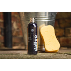 Shampoo Gallop® Carr & Day & Martin Nero