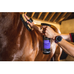 Lucidante Carr & Day & Martin Dreamcoat