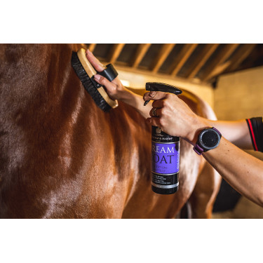 Lucidante Carr & Day & Martin Dreamcoat