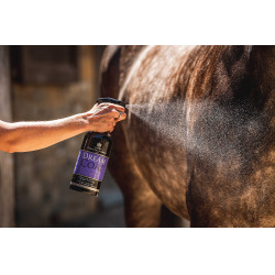 Lucidante Carr & Day & Martin Dreamcoat