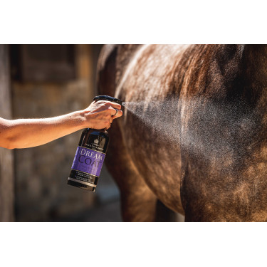 Lucidante Carr & Day & Martin Dreamcoat