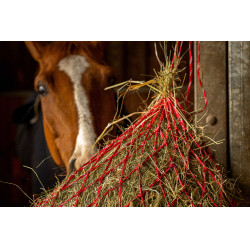 Rete per fieno Hippotonic Zari Rosso / argentato