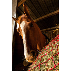 Rete per fieno Hippotonic Zari Rosso / argentato