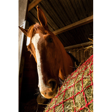 Rete per fieno Hippotonic Zari Rosso / argentato