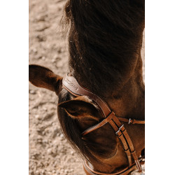 Bridon Eric Thomas Visby Avana Marrone