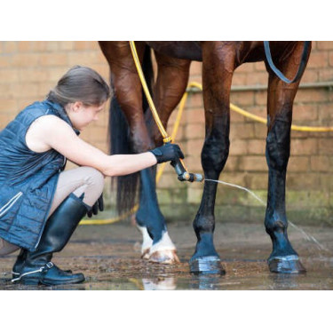 Shampoo Animaderm Tea Tree Shampoo Animaderm Tea Tree