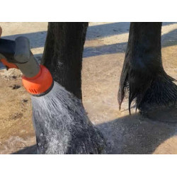 Shampoo Animaderm Tea Tree Shampoo Animaderm Tea Tree