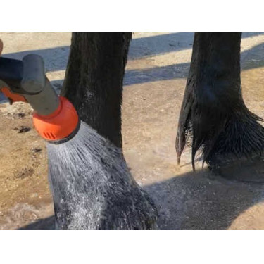 Shampoo Animaderm Tea Tree Shampoo Animaderm Tea Tree