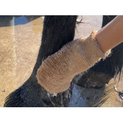 Shampoo Animaderm Tea Tree Shampoo Animaderm Tea Tree