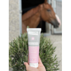 Spazio Riparazione LPC