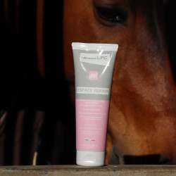 Spazio Riparazione LPC