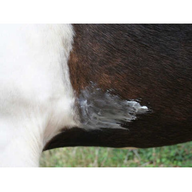 Balsamo Animaderm Natjely