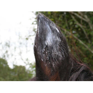 Balsamo Animaderm Natjely