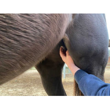 Balsamo Animaderm Natjely