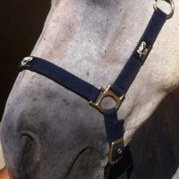 Rigenerante Animaderm Cutene