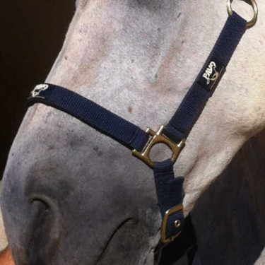 Rigenerante Animaderm Cutene