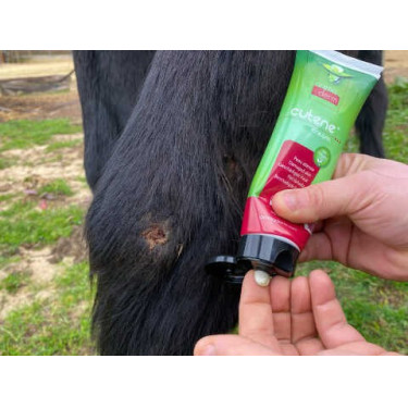 Rigenerante Animaderm Cutene