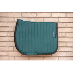 Tappeti Verticali Paddock Sports Verde scuro / nero