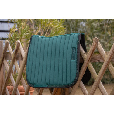 Tappeti Verticali Paddock Sports Verde scuro / nero