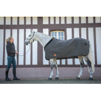 Coperta Wooltouch Paddock Sports Grigio melange