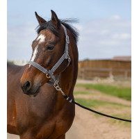 Capezzina Equithème Nylon light Nero