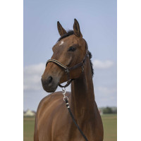 Capestro Equithème Nylon Chevron Marrone