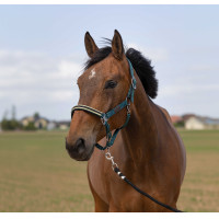 Capestro Equithème Nylon Chevron Verde scuro