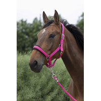 Capezza + lunghina Norton Large Lampone Rosso