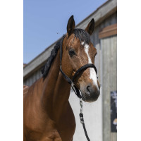 Capezzina Norton Satine Capezzina Norton Satine