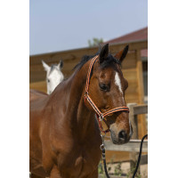 Capezzina Norton Satine Nero