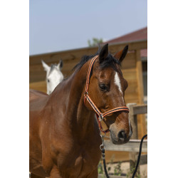 Capezzina Norton Satine Corallo / nero Rosso Capezzina Norton Satine Corallo / nero Rosso