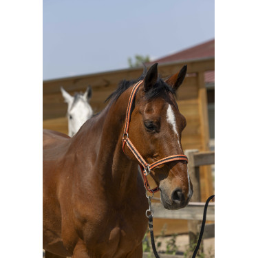 Capezzina Norton Satine Corallo / nero Rosso Capezzina Norton Satine Corallo / nero Rosso