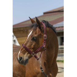 Capezzina Norton Satine Bordeaux / nero