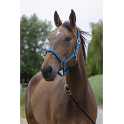 Capezzina Norton Satine Blu petrolio