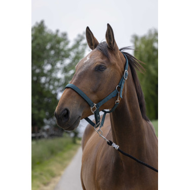 Capezzina Norton Satine Verde scuro