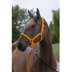 Capezzina Norton Satine Arancione