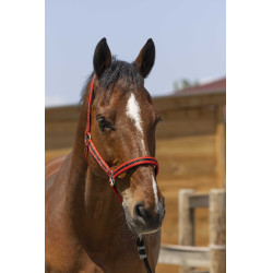 Capezzina Norton Satine Rosso / nero
