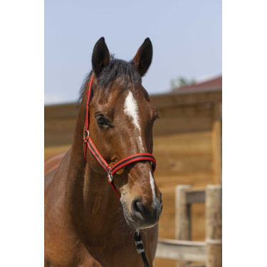 Capezzina Norton Satine Rosso / nero Capezzina Norton Satine Rosso / nero