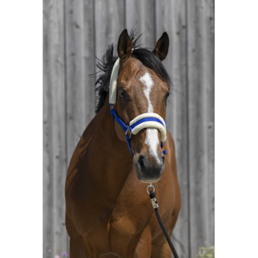Capestro Riding World in montone sintetico Blu reale