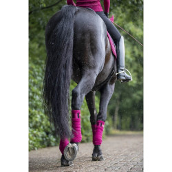 Fasce da polo Loire LeMieux Mora Bordeaux Fasce da polo Loire LeMieux Mora Bordeaux