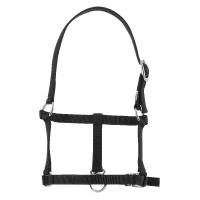 Cavezzone puledro Riding World Nero